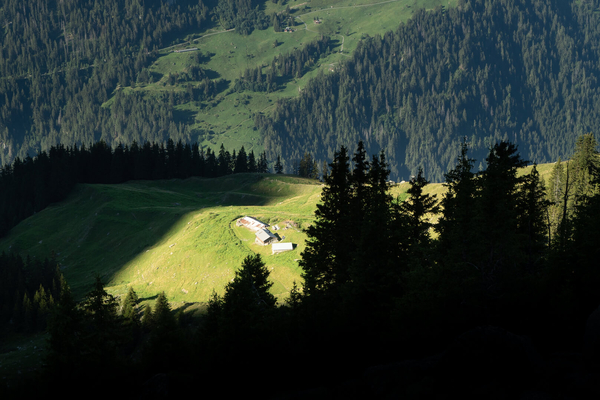 sentier des Chamois - Verbier