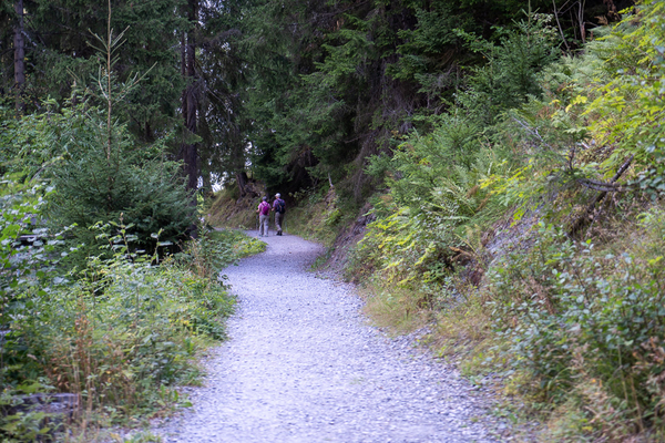 Bisse_Ravines_Bruson