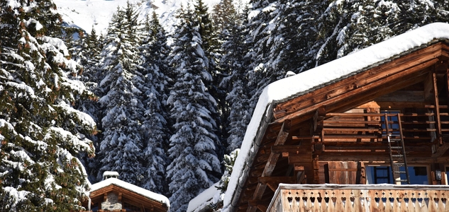Vue extérieure chalet et forêt enneigée – Chalet Off Market Verbier