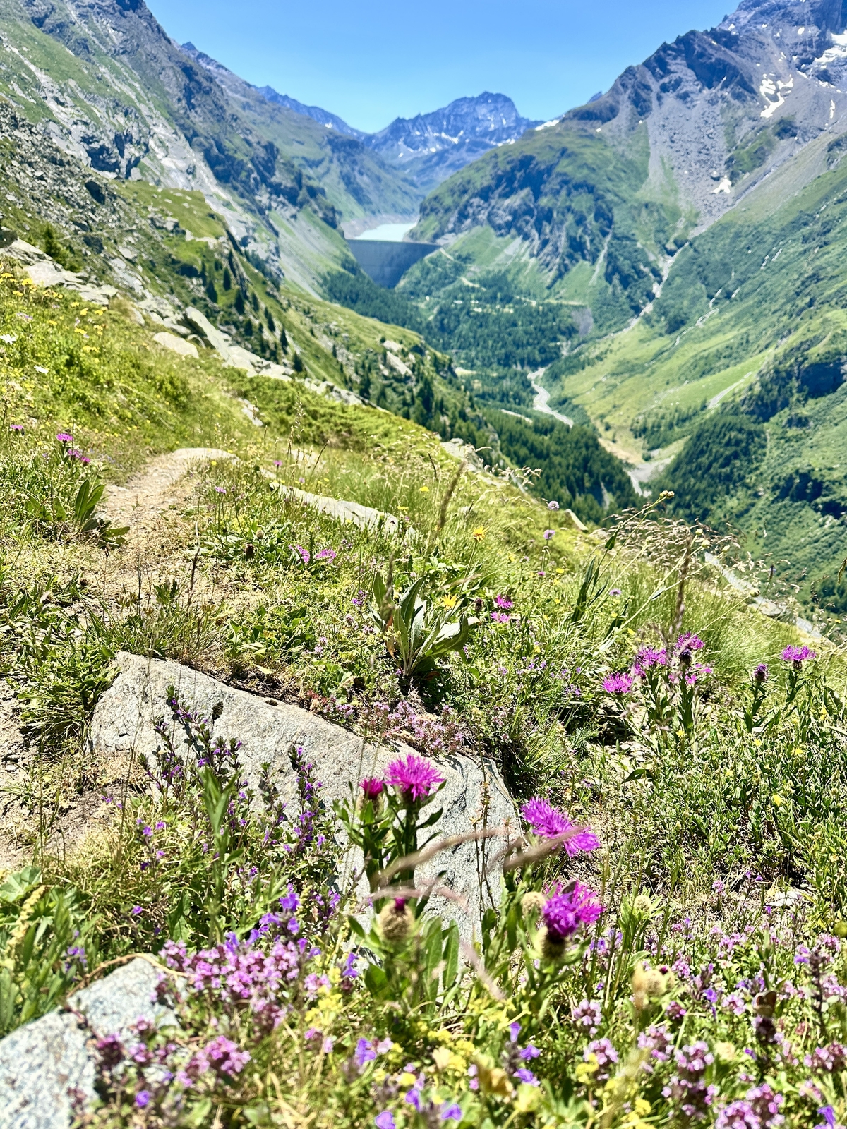 Mauvoisin